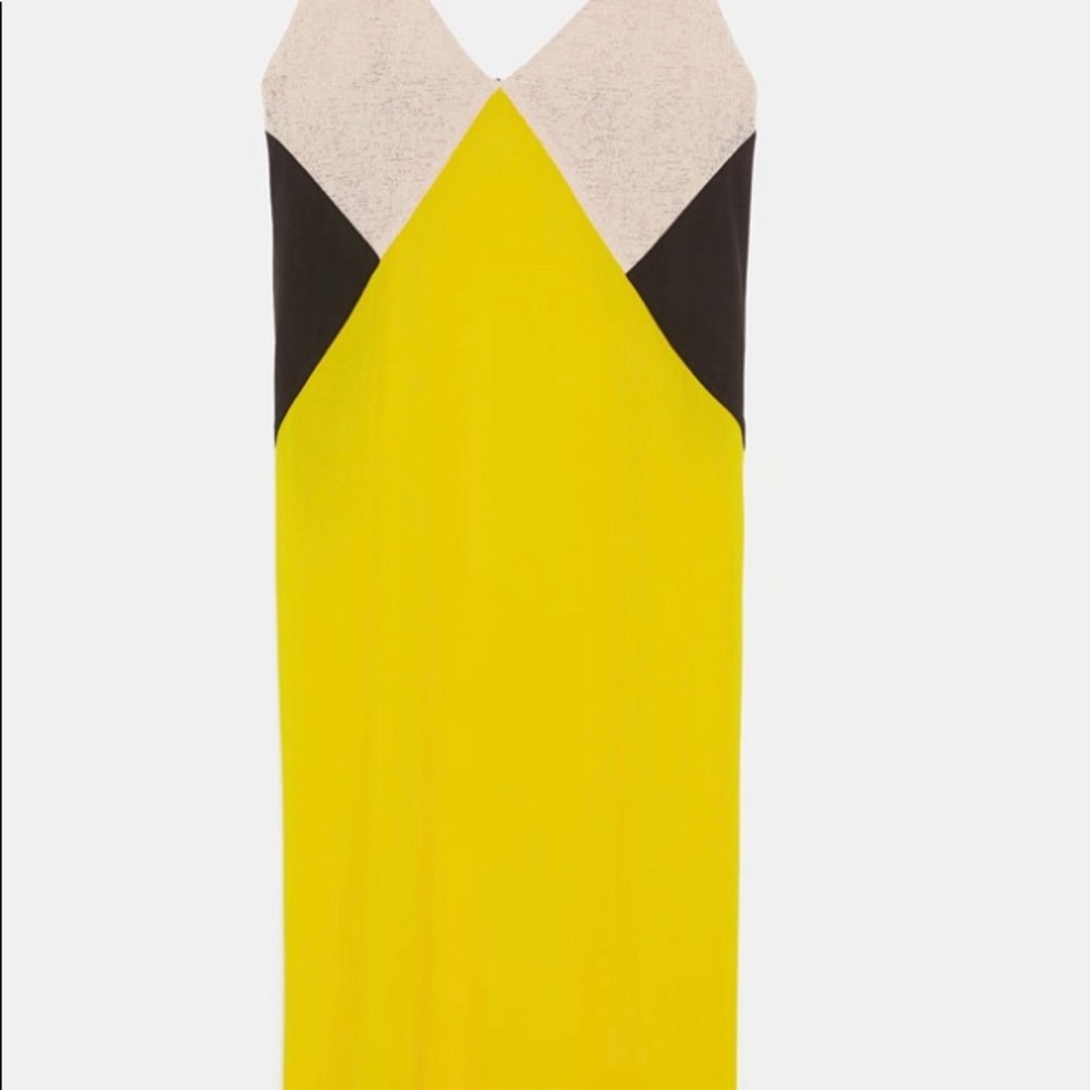 Zara Color Block Dress - Picture 6 of 6